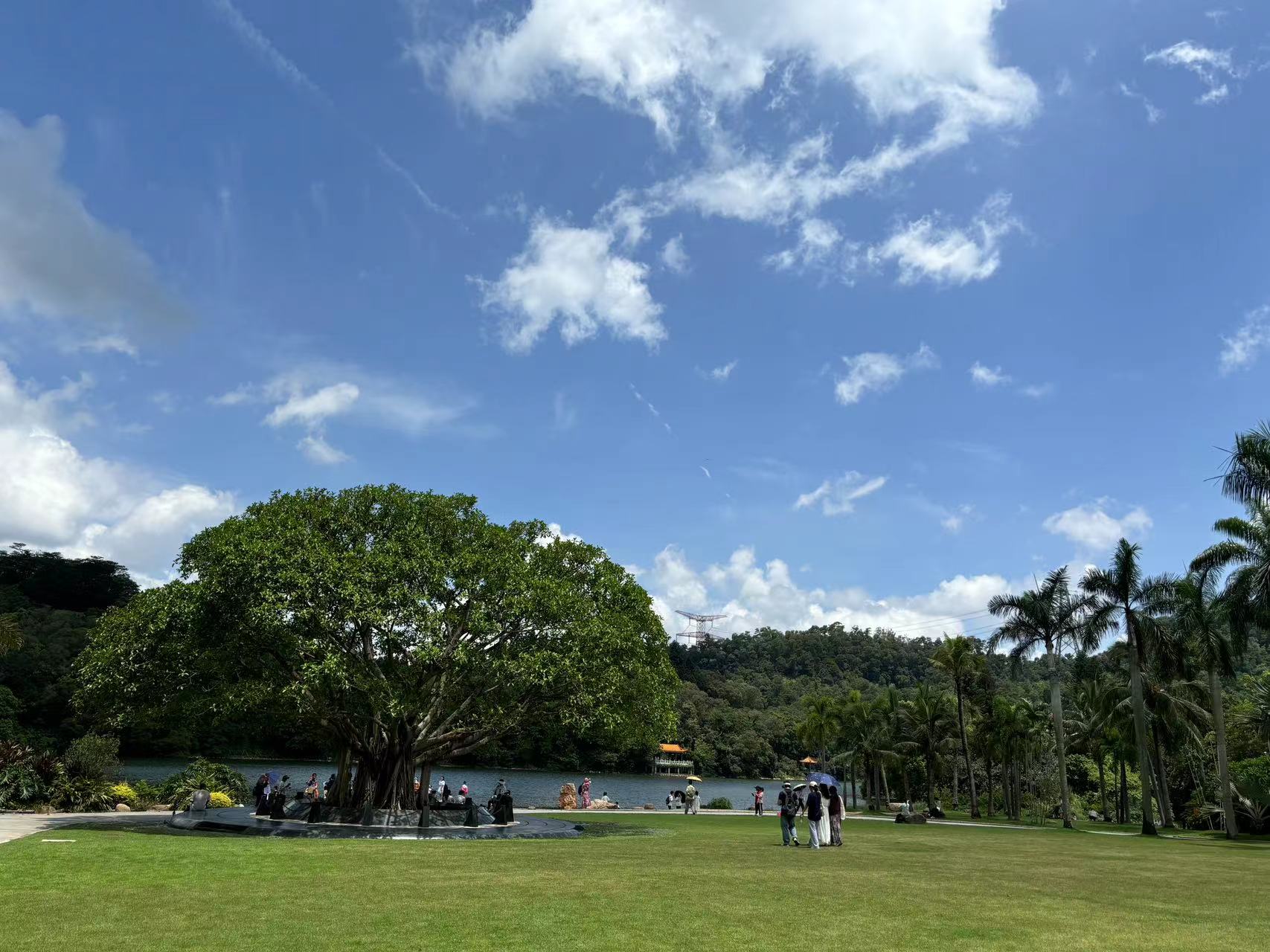 3D魔方代码-天威侠客|小天爱分享项目学习网