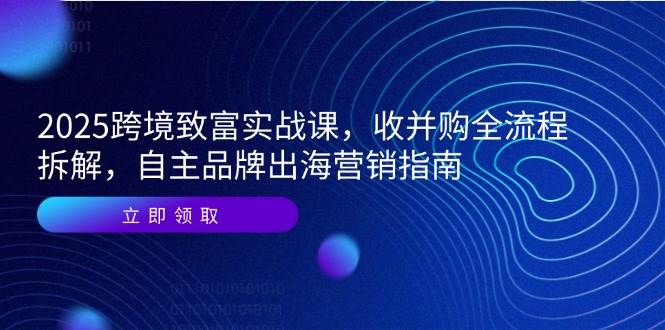 2025跨境致富实战课，收并购全流程拆解，自主品牌出海营销指南-天威侠客｜小天爱分享项目学习网