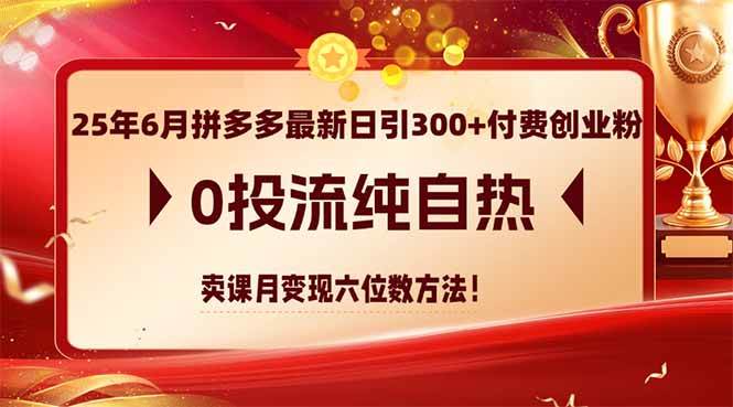 25年6月拼多多最新日引300+付费创业粉,0投流纯自热 卖课月变现六位数方法 25年6月拼多多最新日引300+付费创业粉,0投流纯自热 卖课月变现六位数方法