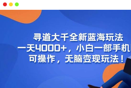 寻道大千全新蓝海玩法，一天4000+，小白一部手机即可操作，无脑变现玩法！-天威侠客｜小天爱分享项目学习网