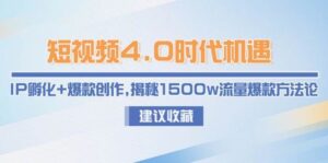 短视频4.0时代机遇:IP孵化+爆款创作,揭秘1500w流量爆款方法论-天威侠客|小天爱分享项目学习网